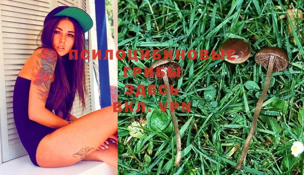 индика Наволоки