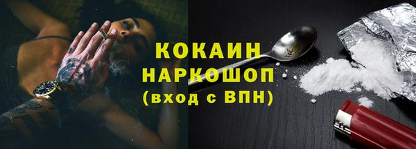 индика Наволоки