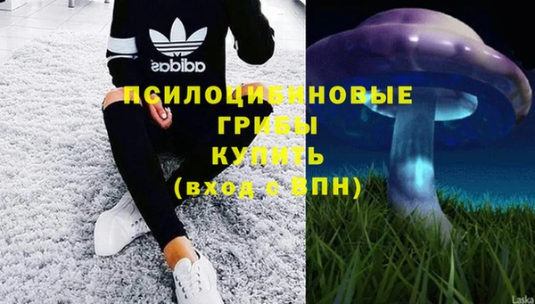 индика Наволоки