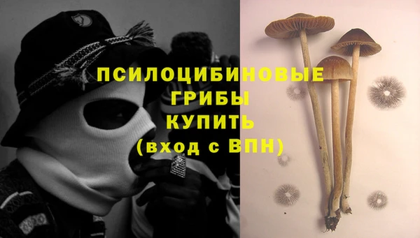 стафф Надым