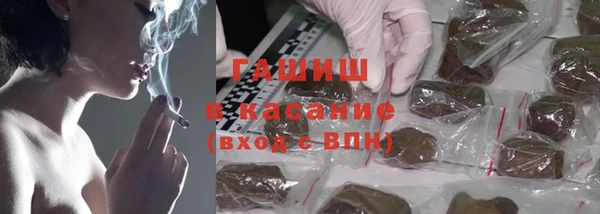 стафф Надым