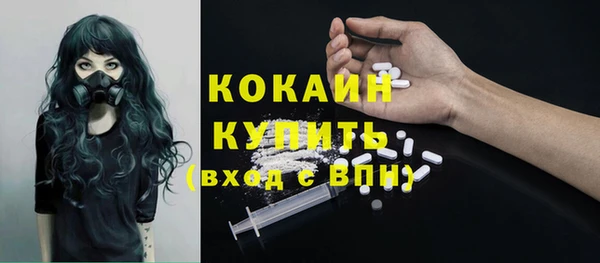 индика Наволоки