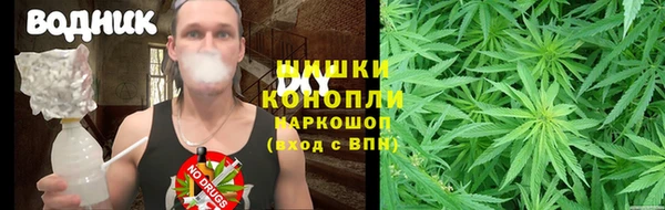 стафф Надым