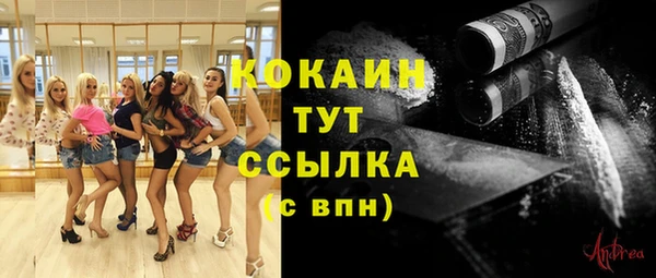 индика Наволоки