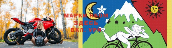 стафф Надым