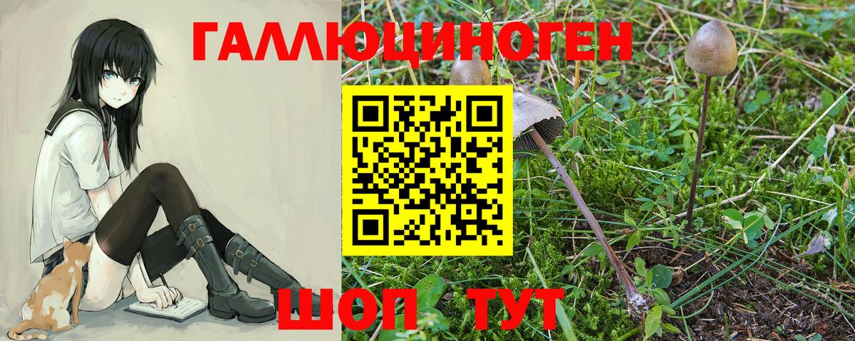 купить  цена  Псилоцибиновые грибы MAGIC MUSHROOMS  Октябрьский  Псилоцибиновые грибы прущие грибы 