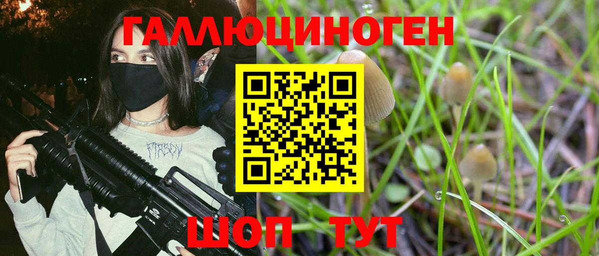 Галлюциногенные грибы GOLDEN TEACHER Октябрьский