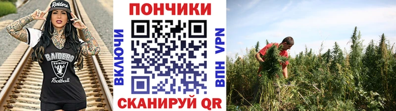Марихуана сатива  наркотики  Октябрьский 